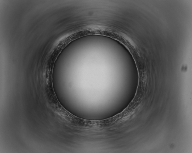 X0000101461016200807071425
