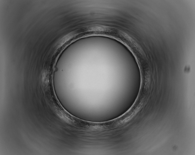 X0000101461017200807071425