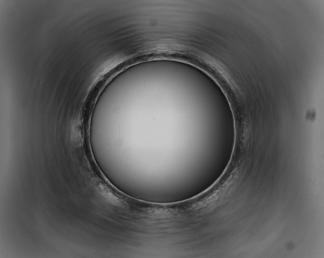 X0000101461018200807071425
