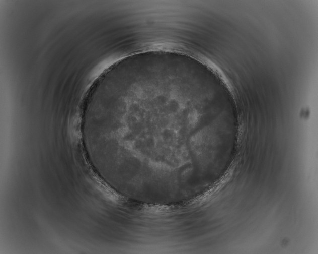 X0000101461019200807071425