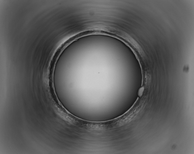 X0000101461020200807071425