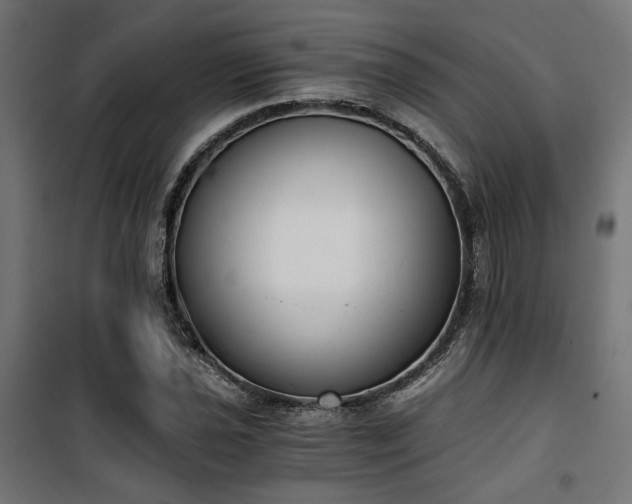 X0000101461021200807071425