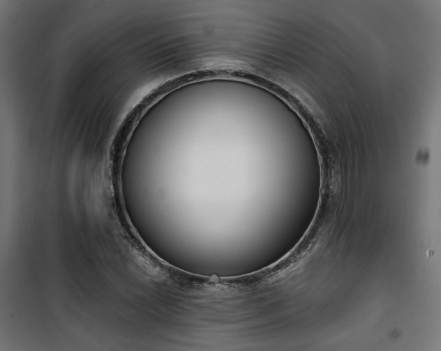 X0000101461022200807071425