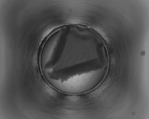 X0000101461023200807071425