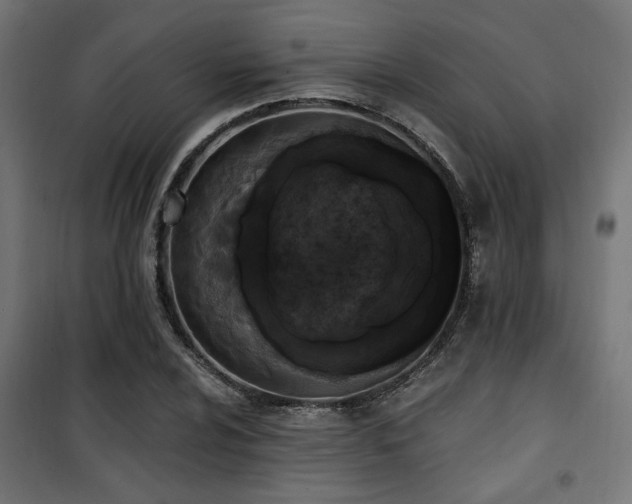 X0000101461024200807071425