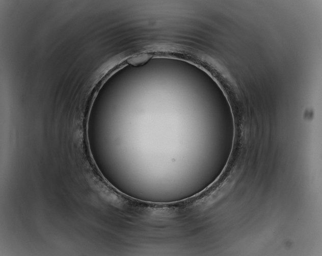 X0000101461025200807071425