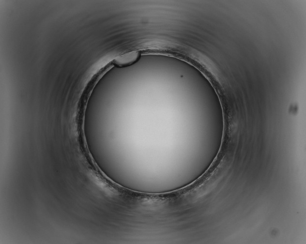 X0000101461026200807071425