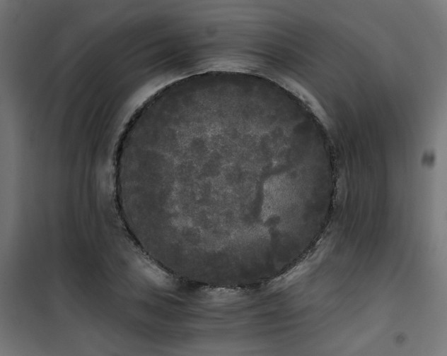 X0000101461027200807071425