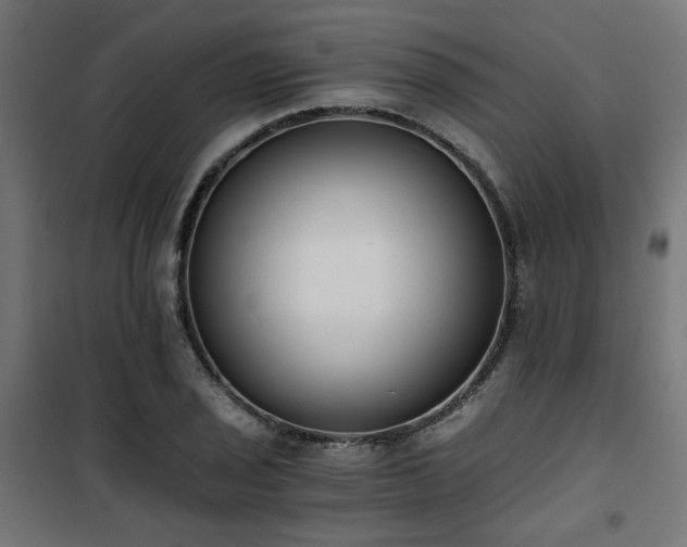 X0000101461029200807071425