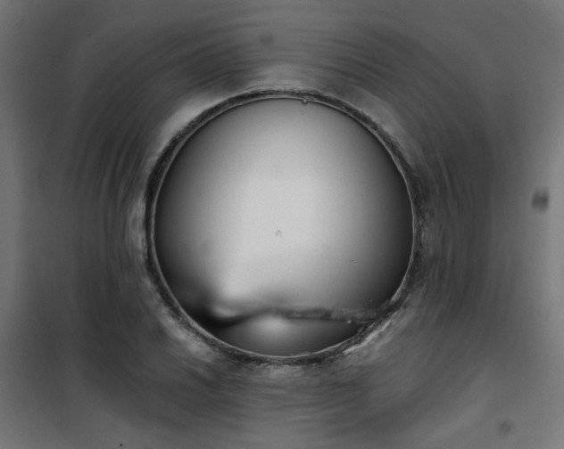 X0000101461030200807071425