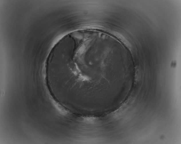 X0000101461031200807071425