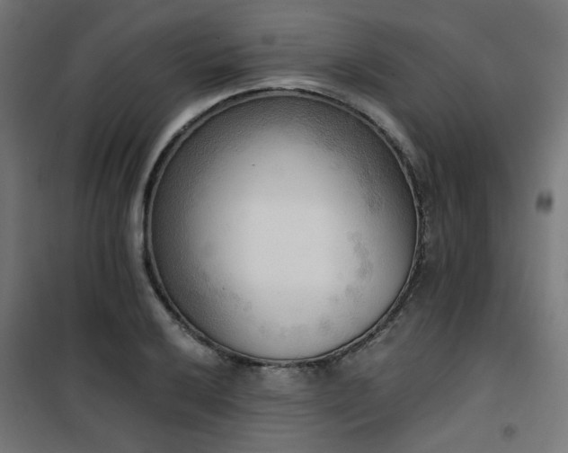X0000101461032200807071425