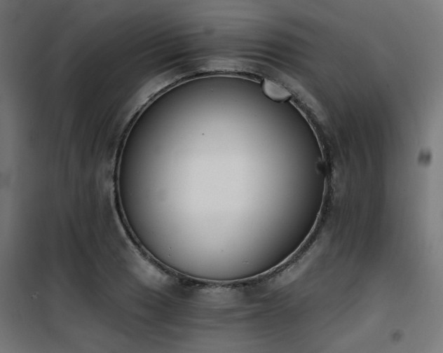 X0000101461033200807071425