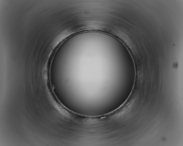 X0000101461034200807071425