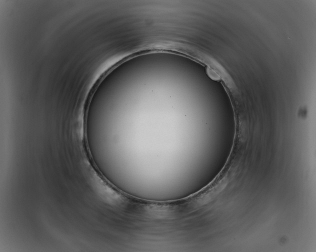 X0000101461036200807071426