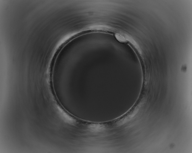 X0000101461037200807071426