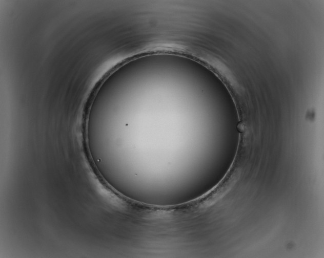 X0000101461038200807071426