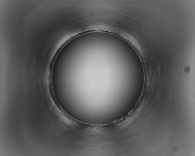 X0000101461040200807071426