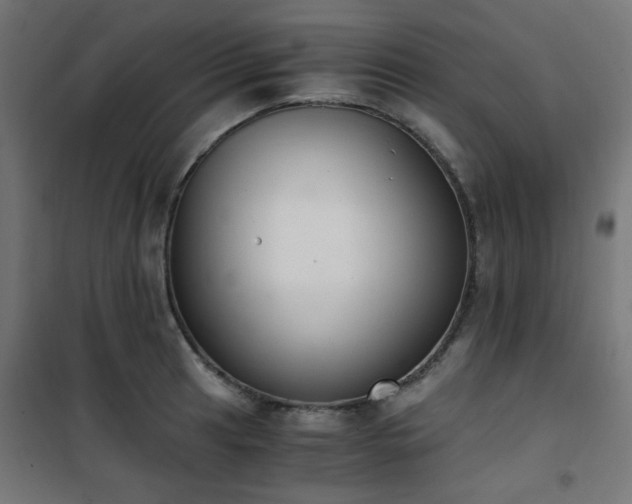 X0000101461041200807071426