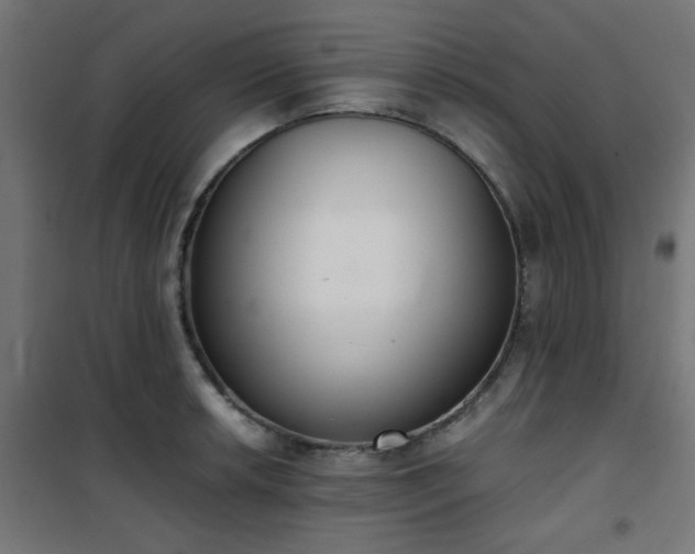 X0000101461042200807071426
