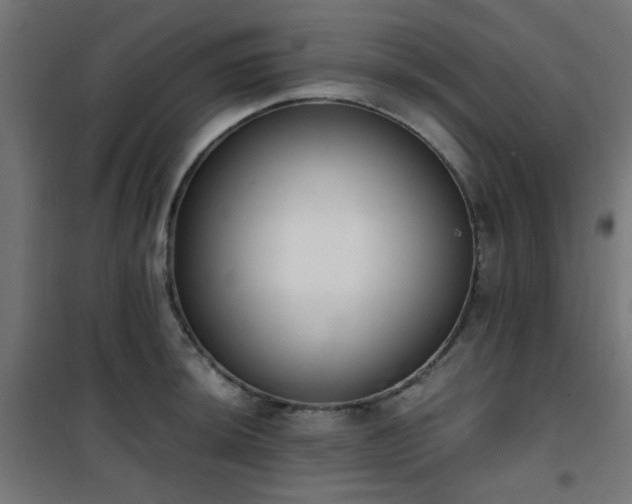 X0000101461044200807071426