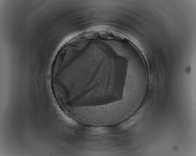 X0000101461045200807071426