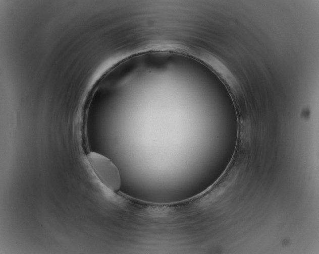 X0000101461046200807071426