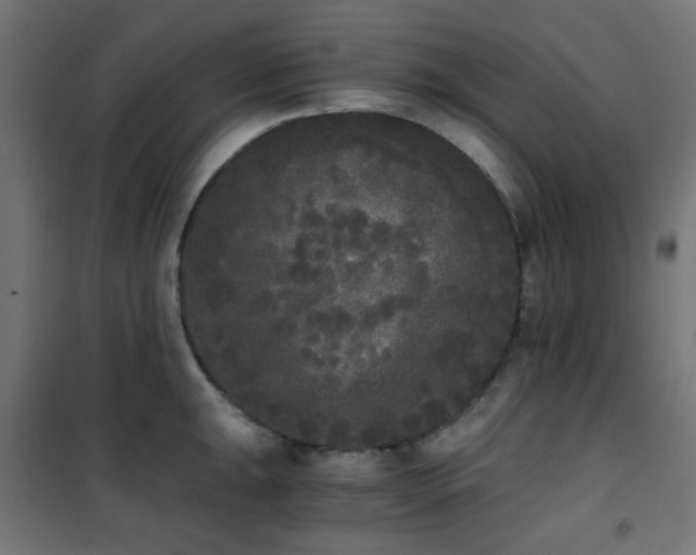 X0000101461047200807071426