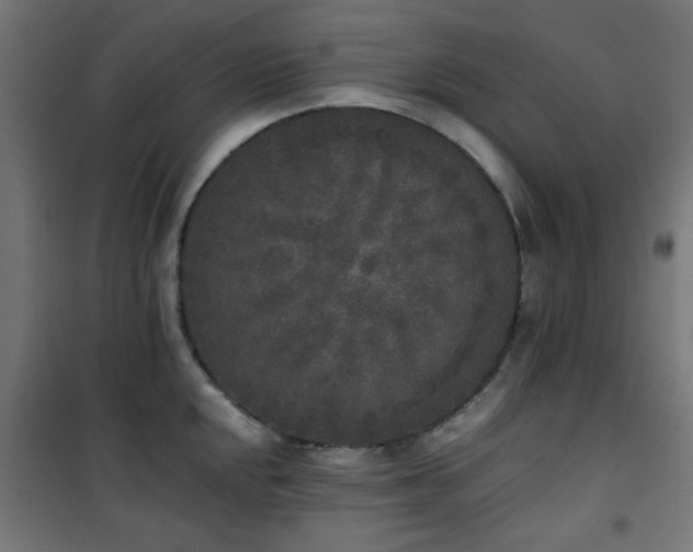 X0000101461048200807071426