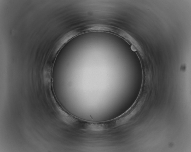 X0000101461049200807071426