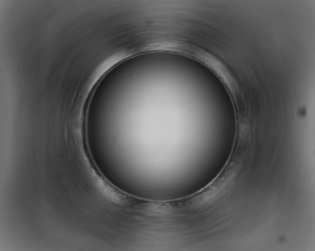 X0000101461050200807071426
