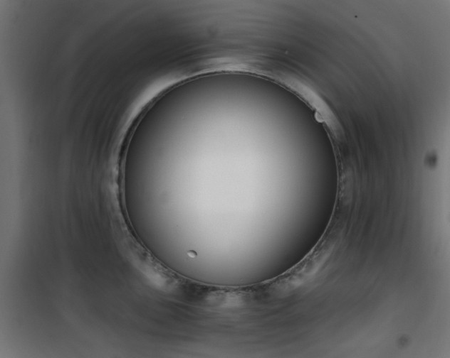 X0000101461051200807071426