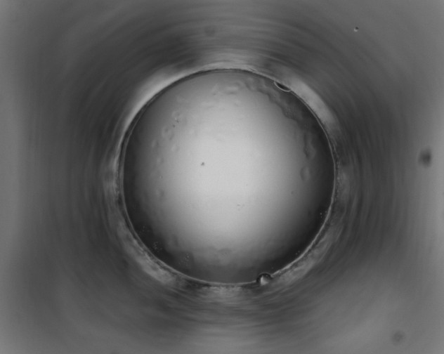 X0000101461052200807071426