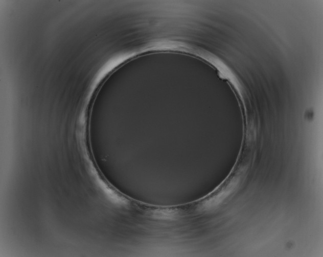 X0000101461053200807071426