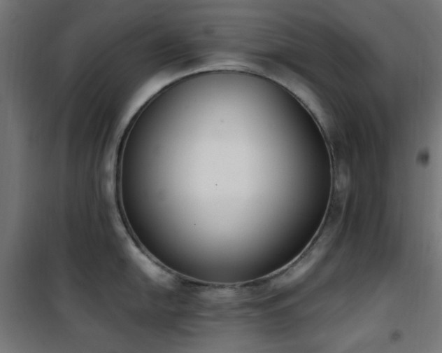 X0000101461054200807071426