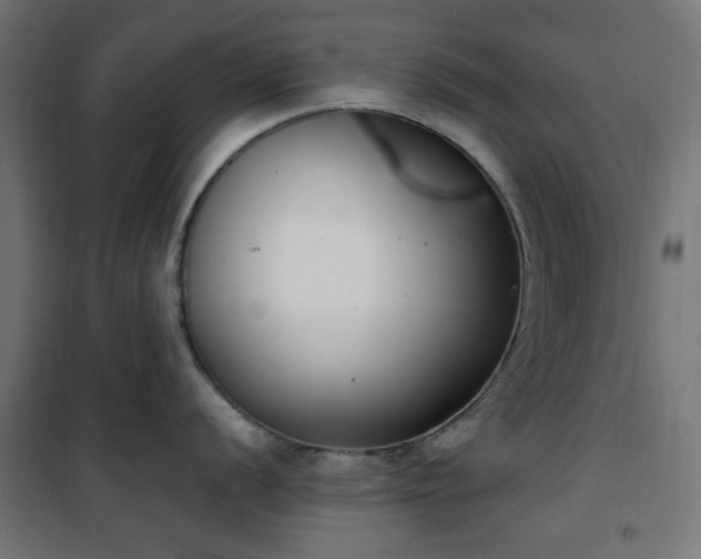 X0000101461056200807071426
