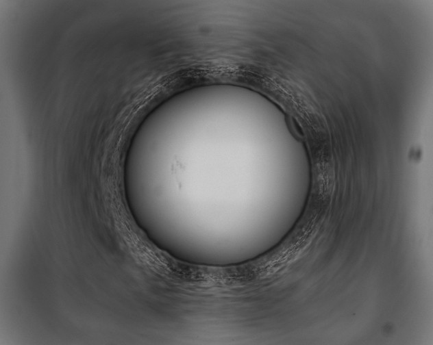 X0000101461057200807071425