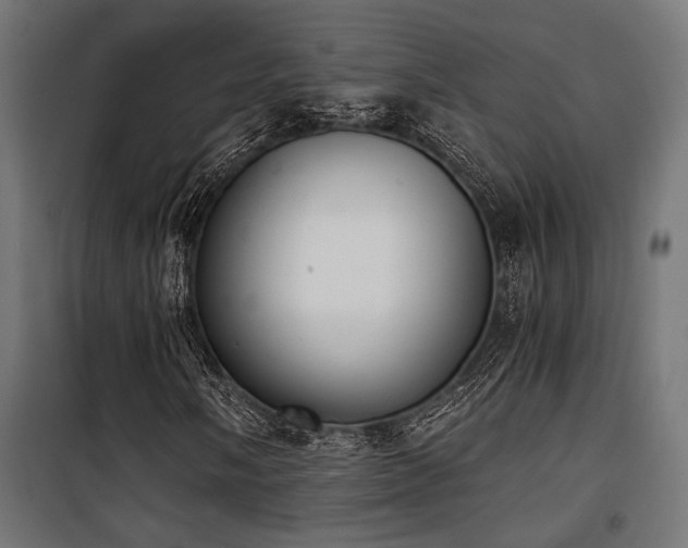 X0000101461058200807071425