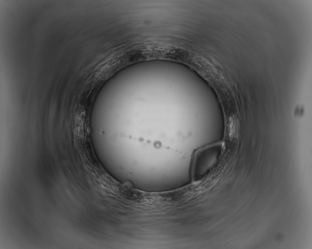 X0000101461059200807071425