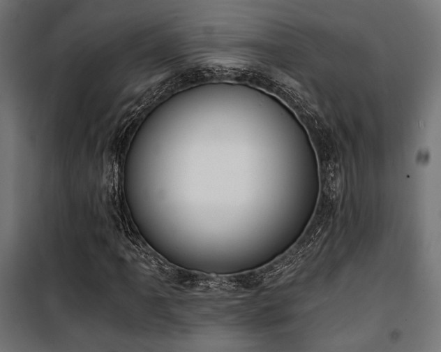 X0000101461061200807071425