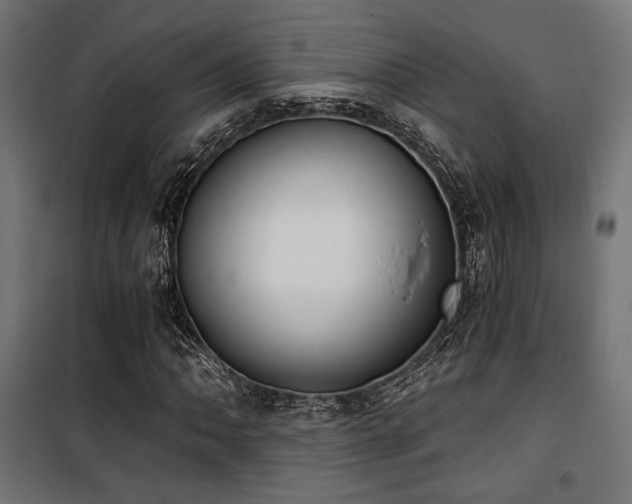 X0000101461062200807071425