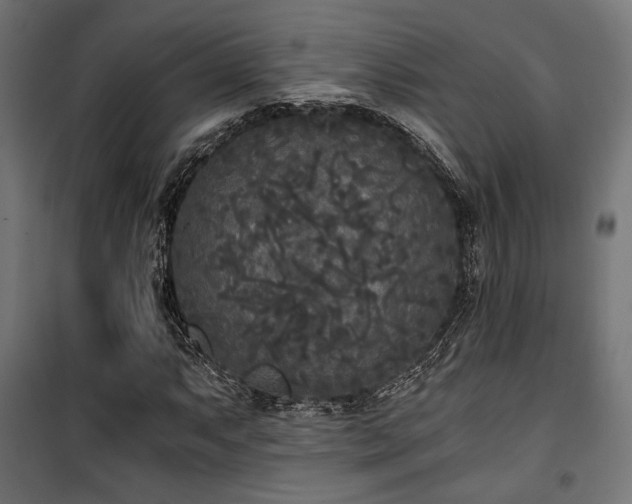 X0000101461063200807071425