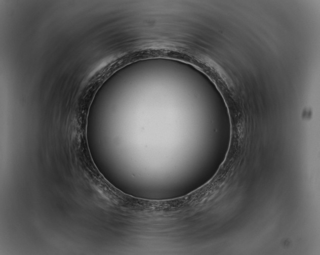 X0000101461064200807071425