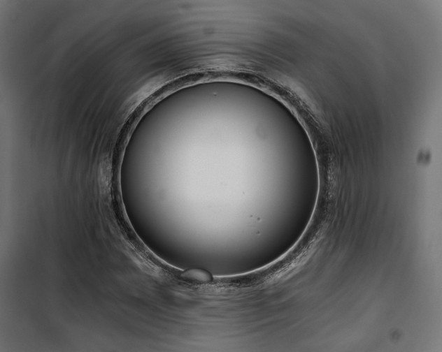 X0000101461065200807071425