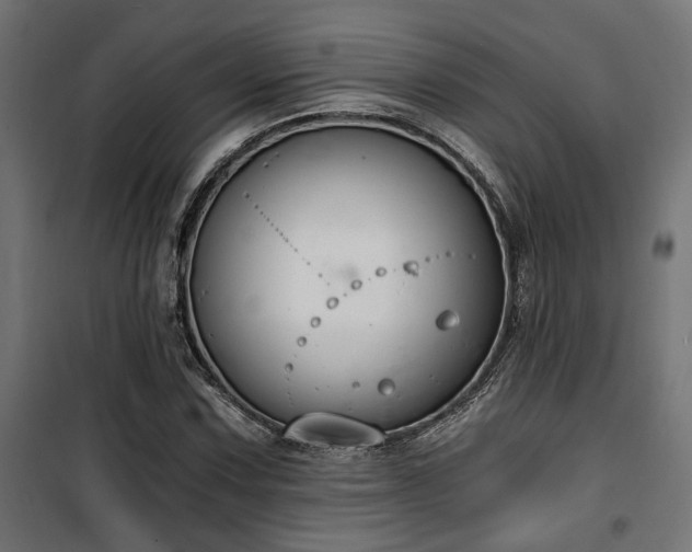 X0000101461067200807071425