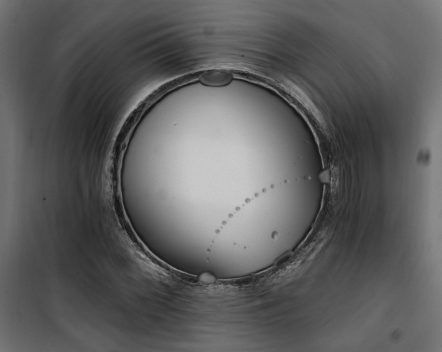 X0000101461068200807071425
