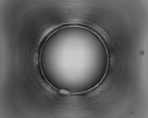 X0000101461069200807071425