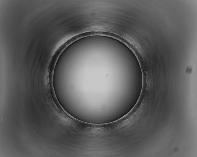 X0000101461070200807071425