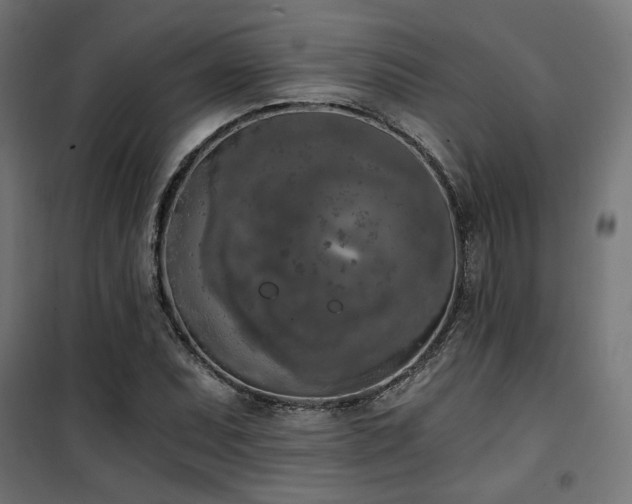 X0000101461071200807071425