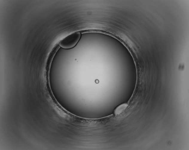 X0000101461072200807071425